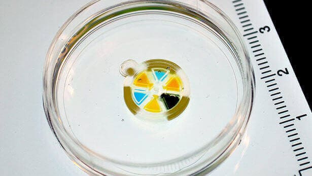 Featured image of Tiny 3D Printed Robots Deliver Drug Doses Underneath the Skin