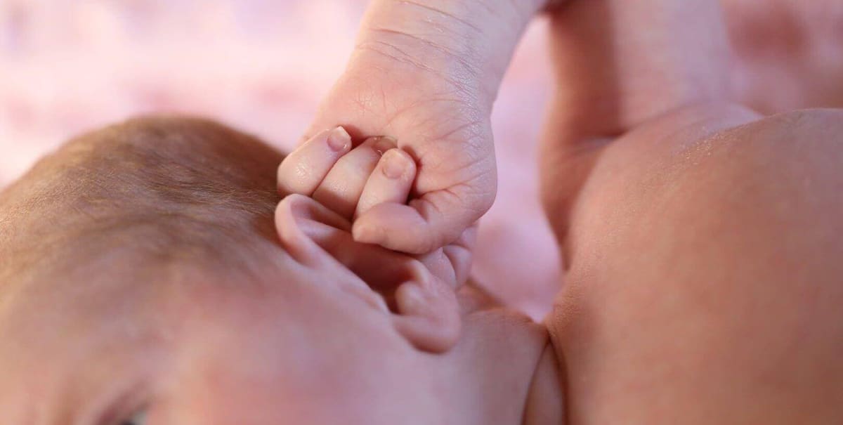 Featured image of Scientists 3D Print Human Stem Cells to Create New Ears