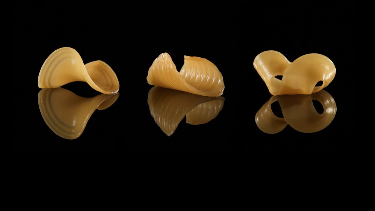 Featured image of This 3D Printed Pasta Changes Shape When Dunked in Water