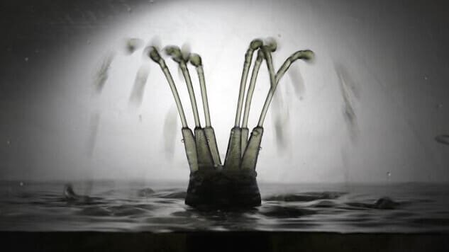 Featured image of Scientists Print Fragile Silicone Structures in a Vat of Goop