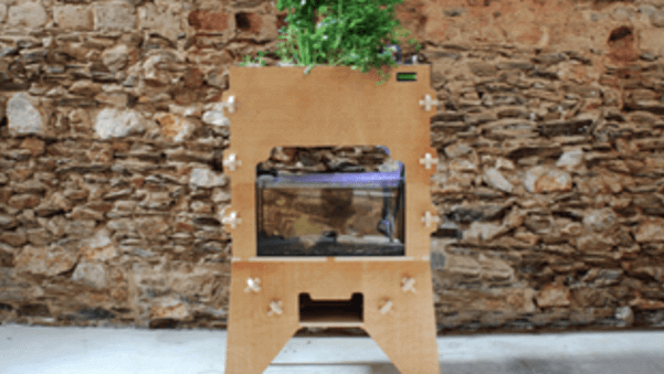Featured image of Aquapioneers Offer a 3D Printed Urban Farming System