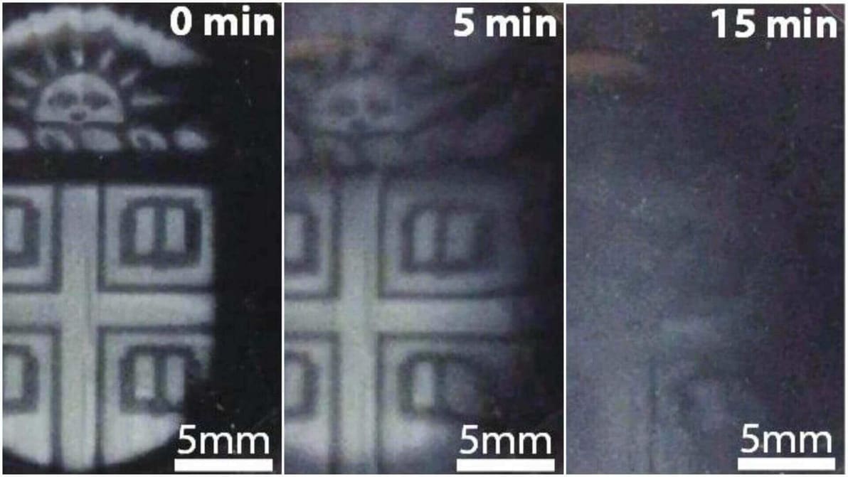 Featured image of Researchers Create 3D Printed Structures That Degrade On Demand