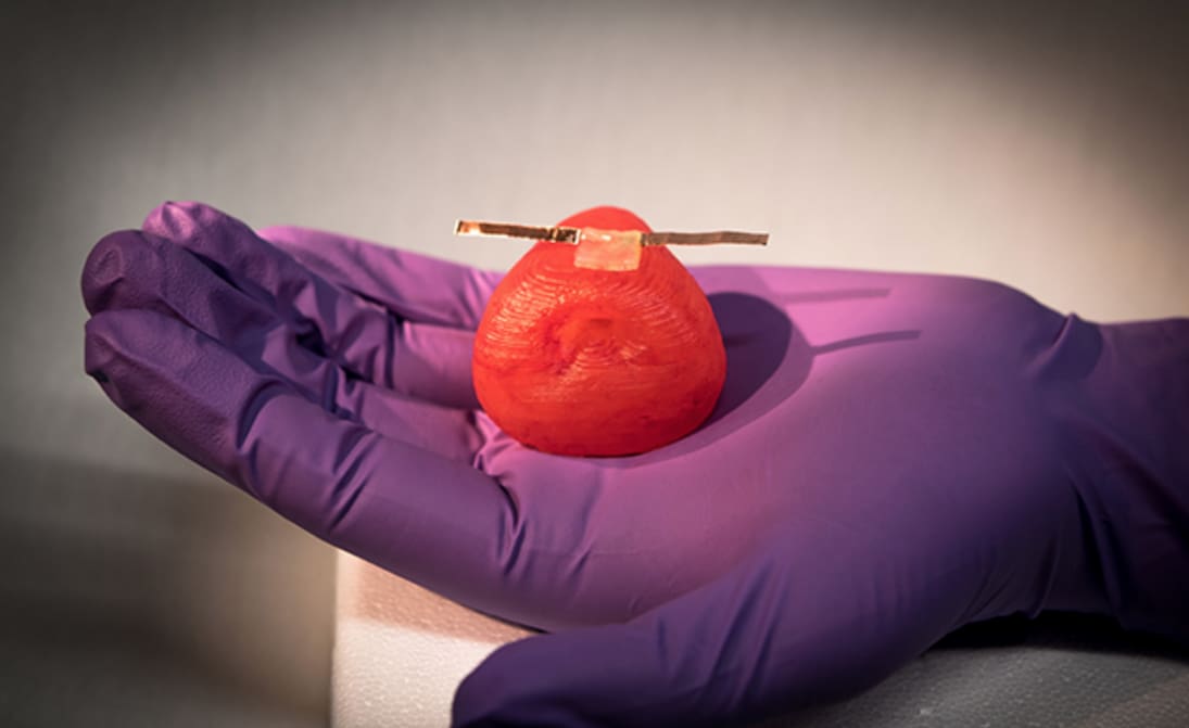 Featured image of Minnesota Researchers Create 3D Printed Organs for Realistic Surgical Training