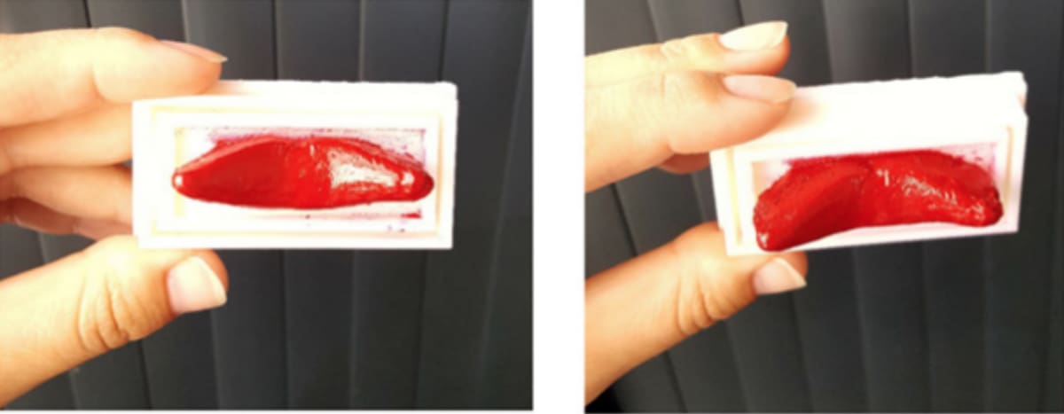Featured image of Perfectly Personalized Lipstick Applicators Created Using 3D Printing Technology