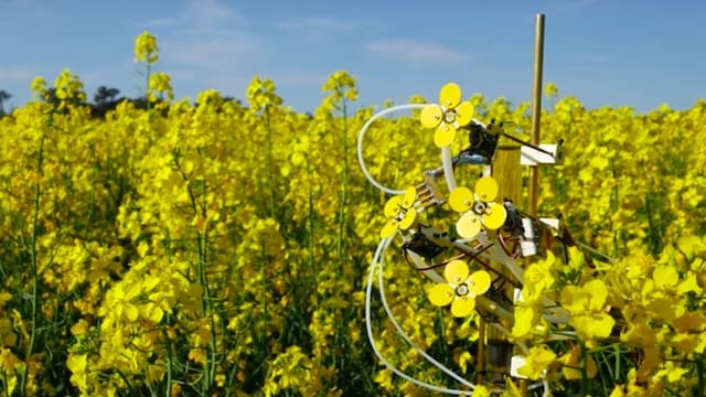 Featured image of Can the 3D Printed Synthetic Pollenizer Help the Bee Population?