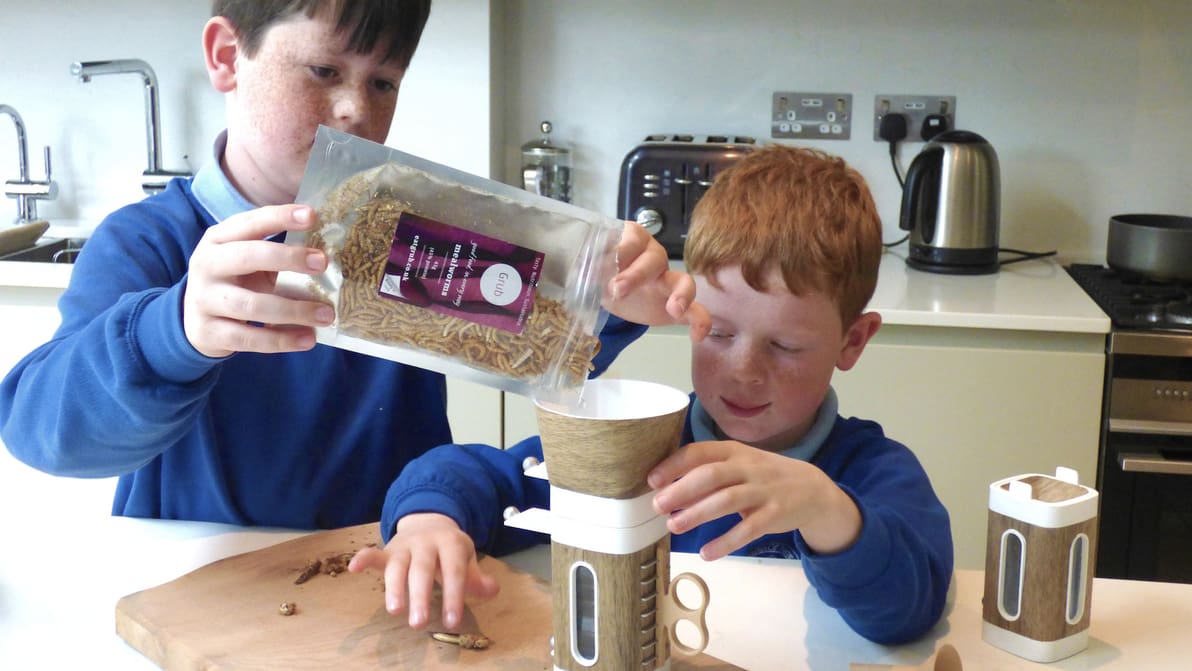 Featured image of 3D Printed Tastebugs Challenge Children to Eat Insects