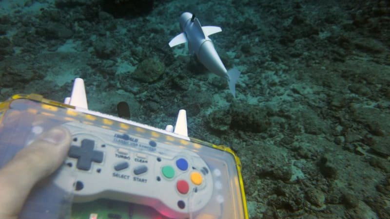 Featured image of CSAIL Developed SoFi the Soft Robotic Fish using 3D Printing