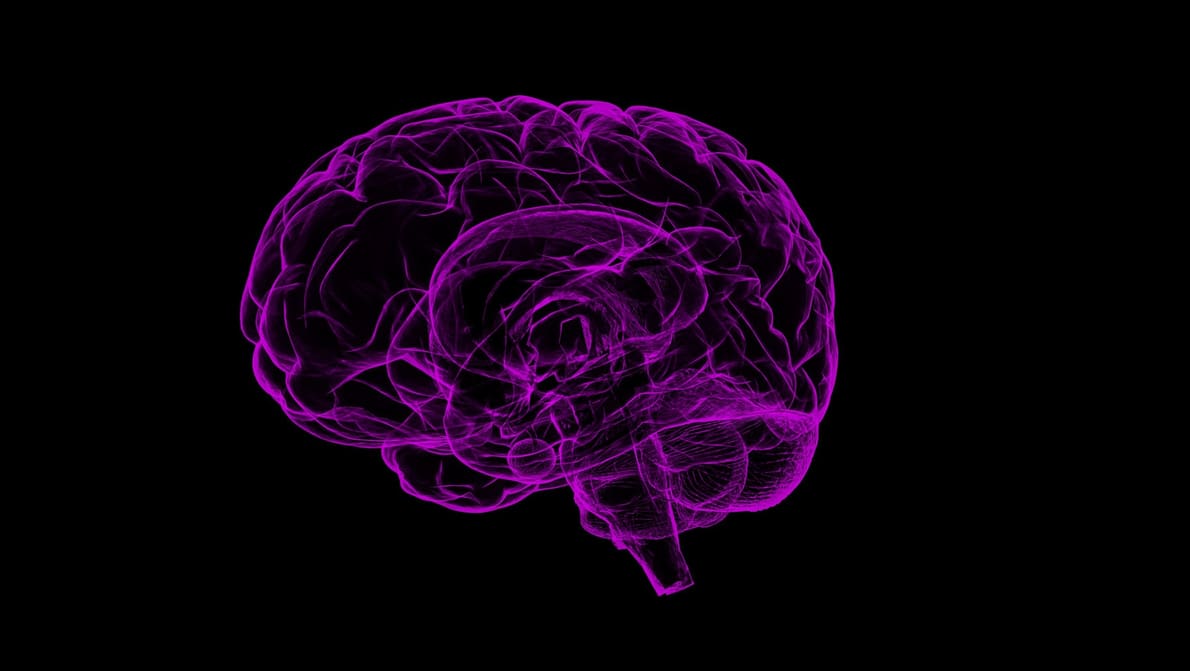 Featured image of 3D Bioprinting Models to Better Understand and Treat Neurodegenerative Diseases
