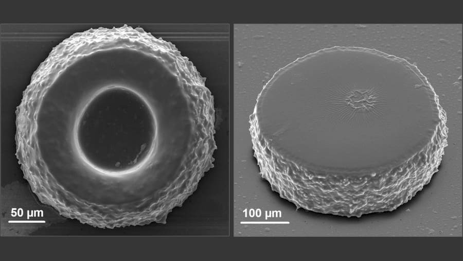 Featured image of Russian Physicists Develop Special Nanoparticles for Biomedical 3D Printing Process