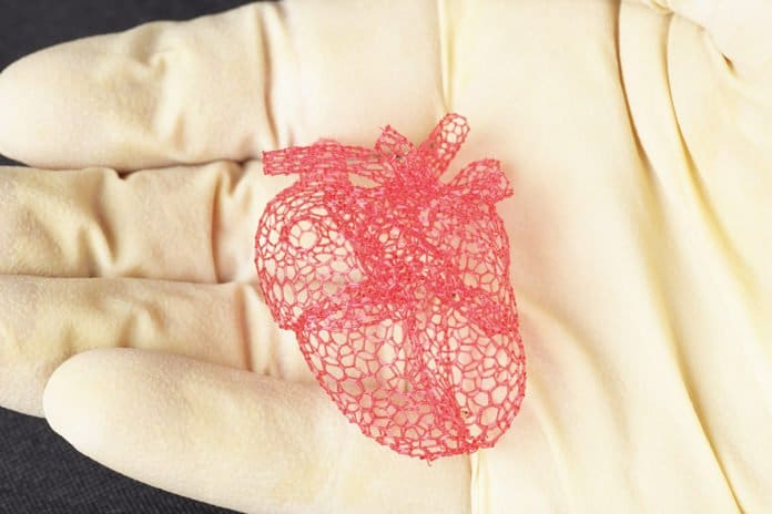 Featured image of Engineers Develop 3D Printing Method That Produces Tissue Scaffolding From Sugar