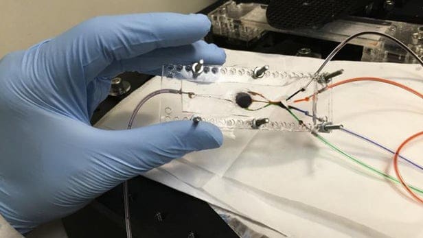 Featured image of UCLA Bioengineer Develops SLA 3D Printer That Produces Complex Artificial Tissues