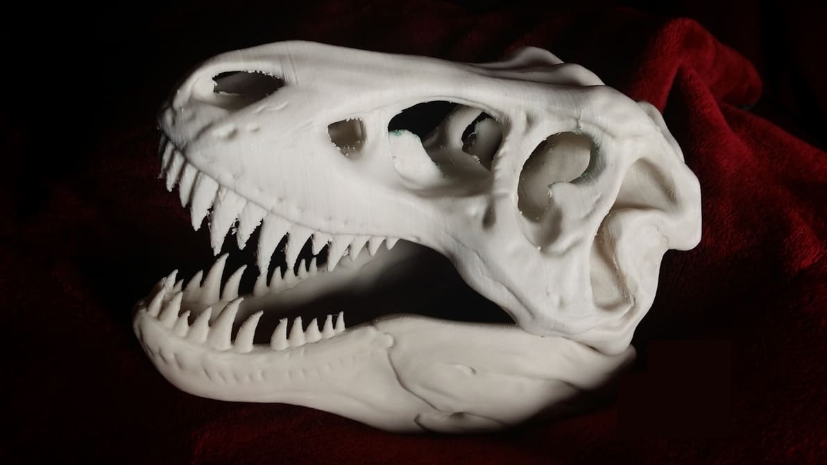 Featured image of The Best Bio Filaments for 3D Printing