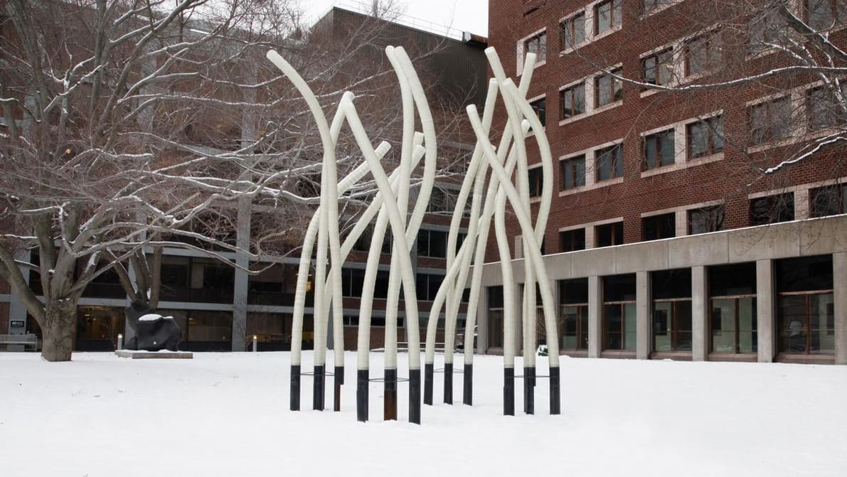 Featured image of MIT’s Insect-Like Robots Can Build Solid Structures