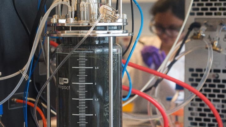 Featured image of Canadian Start-up is Turning Organic Food Scraps into 3D Printing Filament