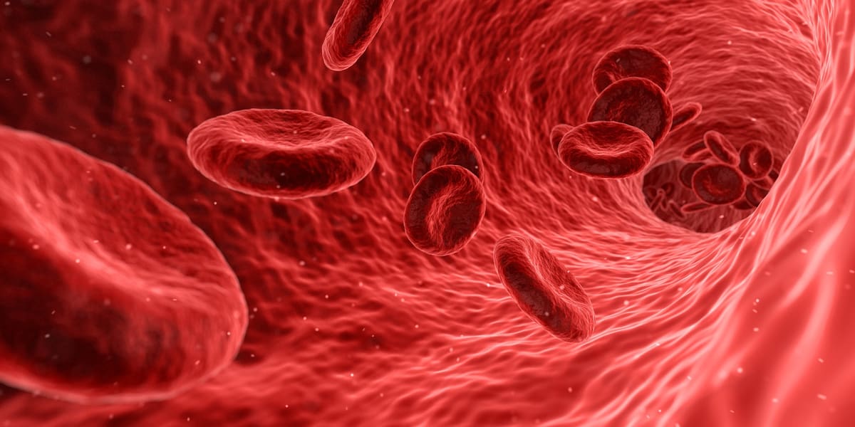 Featured image of Researchers Develop 3D Bioprinting Technique That Could Help Combat Heart Disease