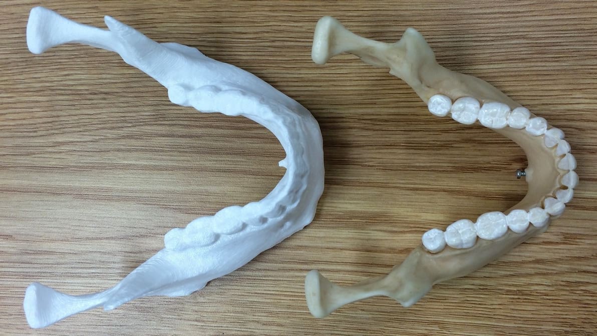 Featured image of 3D Printer & 3D Scanner: All You Need to Know