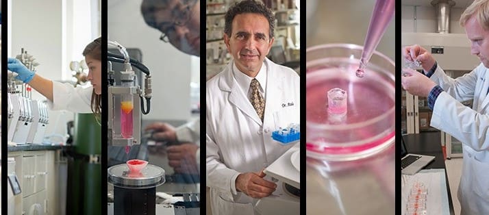 Featured image of Bioprinting System Treats Wounds by Printing Skin Directly Onto Them
