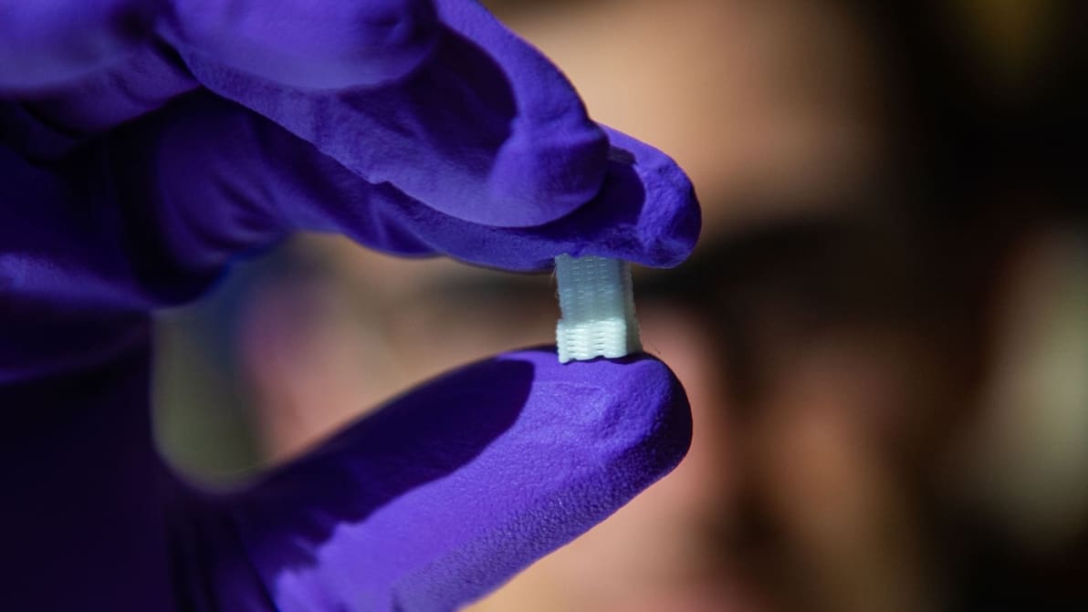 Featured image of Bioscientists Develop 3D Printed Artificial Tissues to Help Heal Bone and Cartilage Injuries