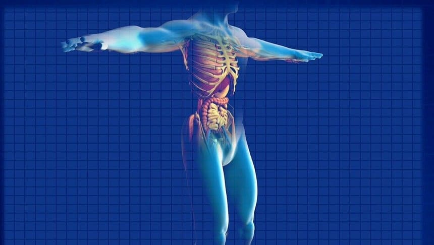 Featured image of World First 3D Printed Bionic Pancreas Could One Day Treat Diabetes