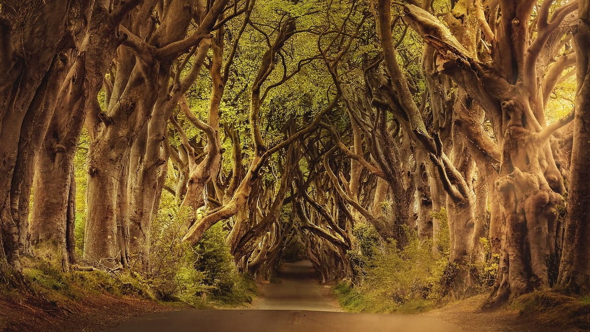Featured image of How Long it Would Take to 3D Print Game of Thrones Characters and Objects?