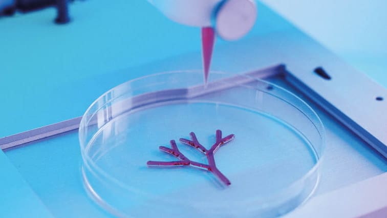 Featured image of CELLINK Launches Tissue Model Kits With Bioinks and Antibodies