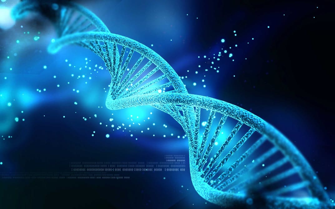 Featured image of 3D Printed Bunny Holds Information Encoded in DNA to Copy Itself