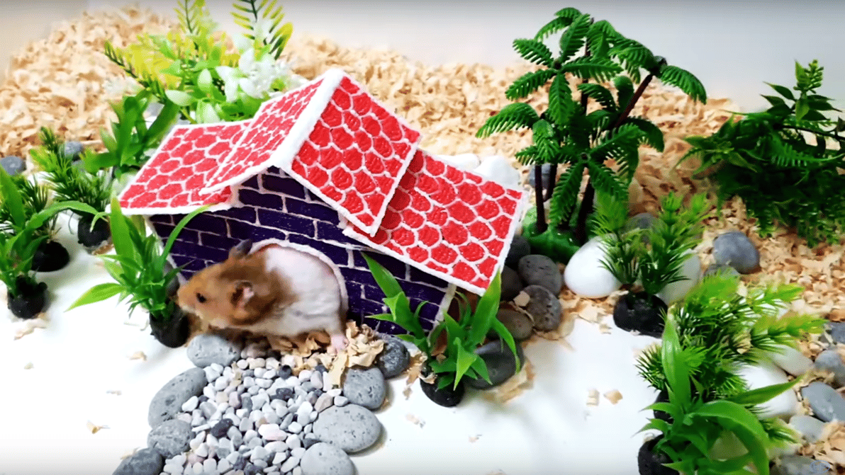 Featured image of How to Draw a House for Your Hamster with a 3D Pen