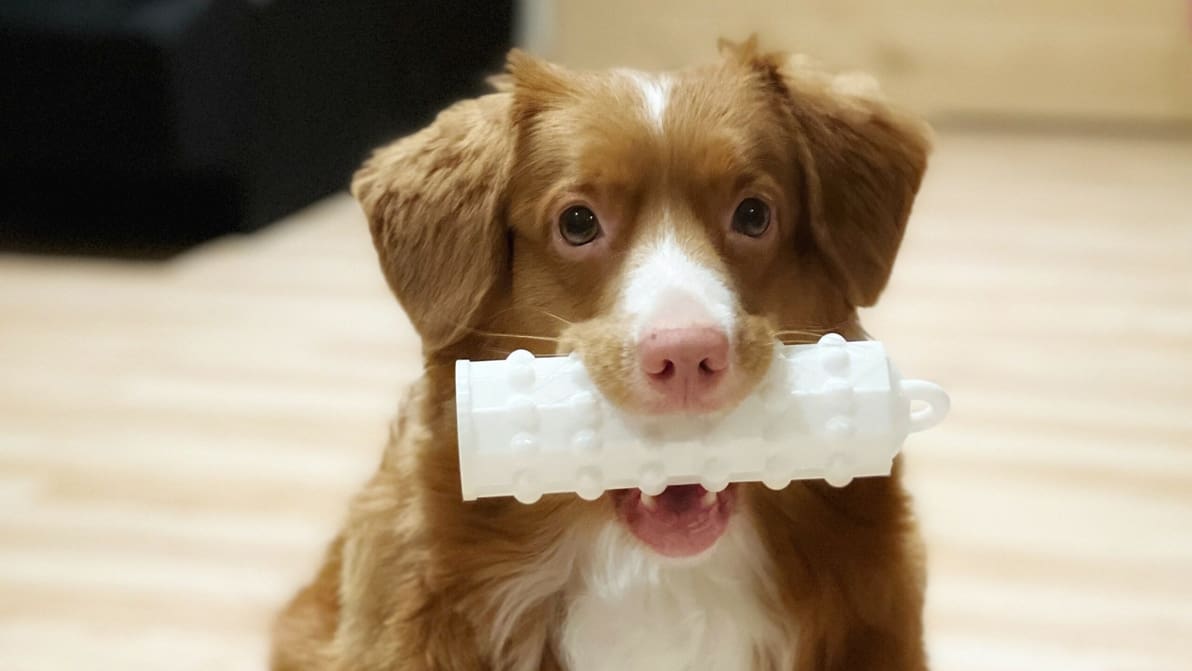 Featured image of The Best 3D Printed Dog Toys & Accessories