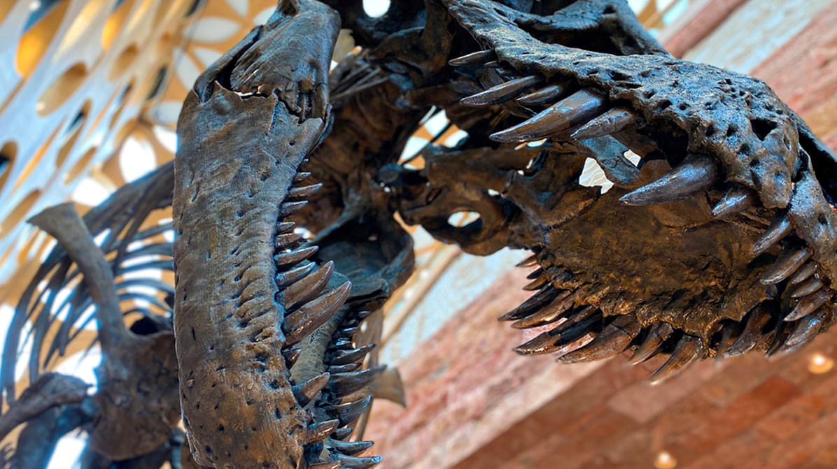 Featured image of 3D Printing Artifacts & Exhibits: A Museum Guide