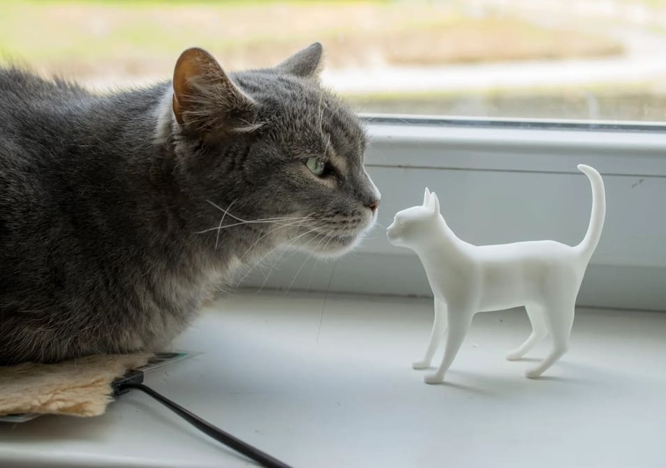 Featured image of Best Sites for Cat 3D Models