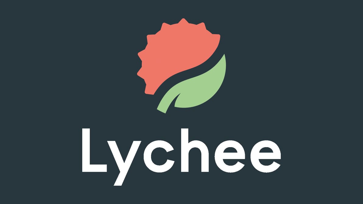 Featured image of Lychee Slicer 6.2 Update, Mango 3D Rebrand & Upcoming ‘Lychee Library’ Repository