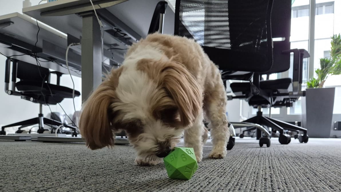 Imagen principal de Deje que su mascota tire un dado D20 para ganarse un premio