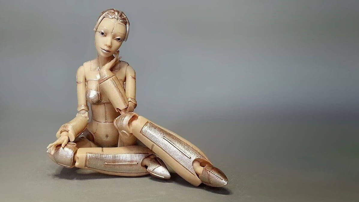 Featured image of 3D Printed Robotica