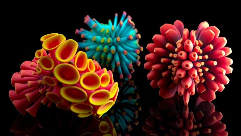 Featured image of Browse through 3D printed art