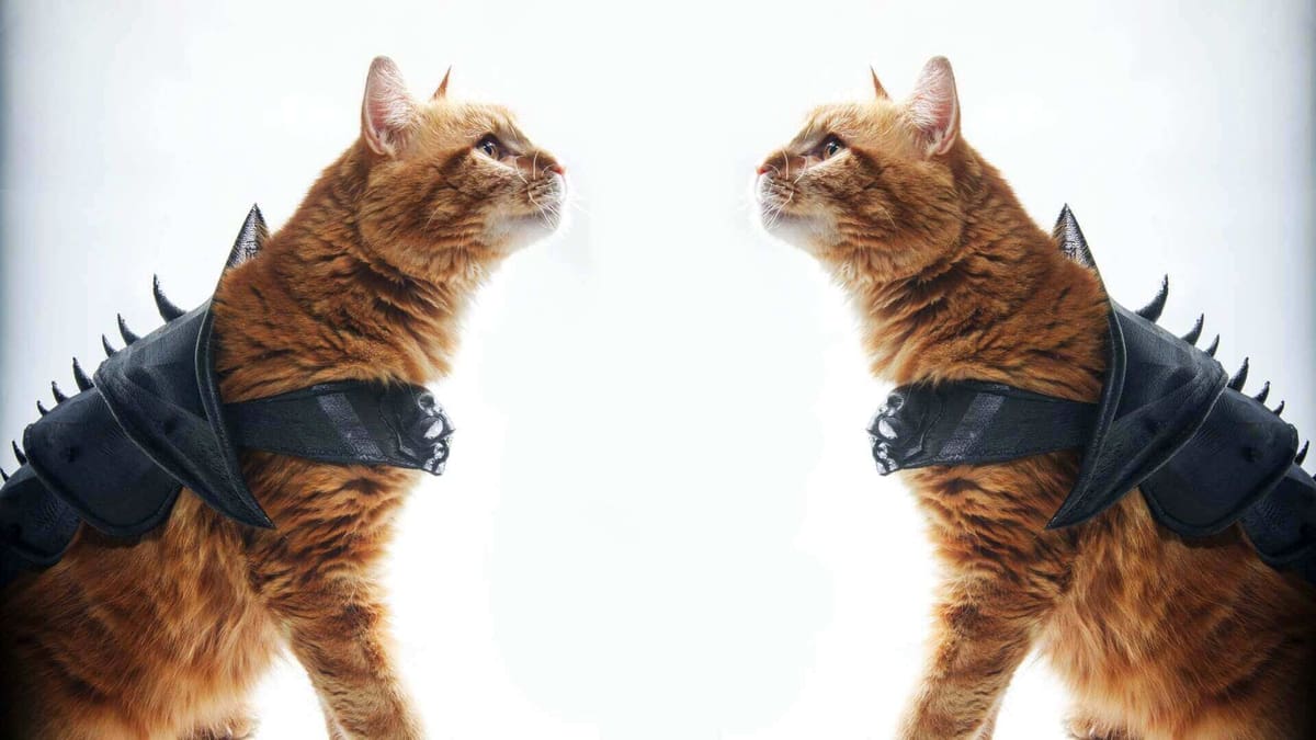 Featured image of Dressed To Kill: 3D Printed Cat Armor