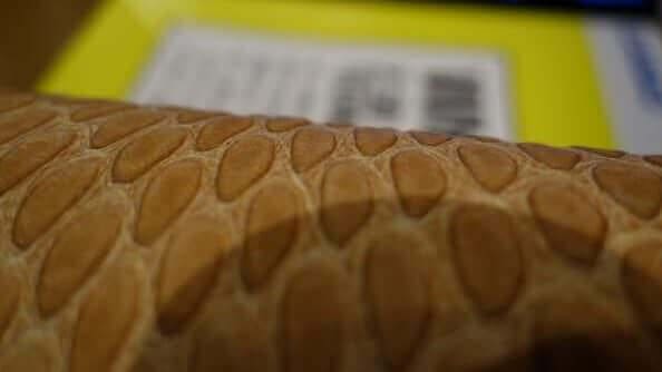 Featured image of 2.5D Printing: Casio 3D Prints Textures onto Paper