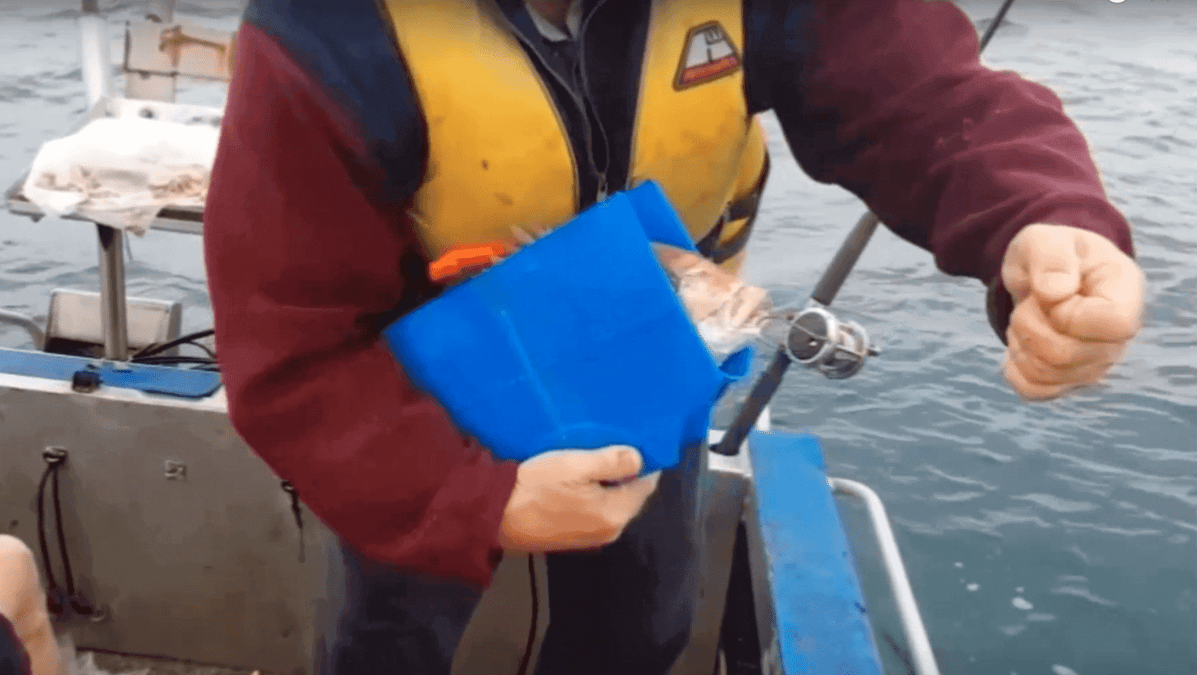 Featured image of KeepaFish Scoop Can Save the Lives of Many Fish