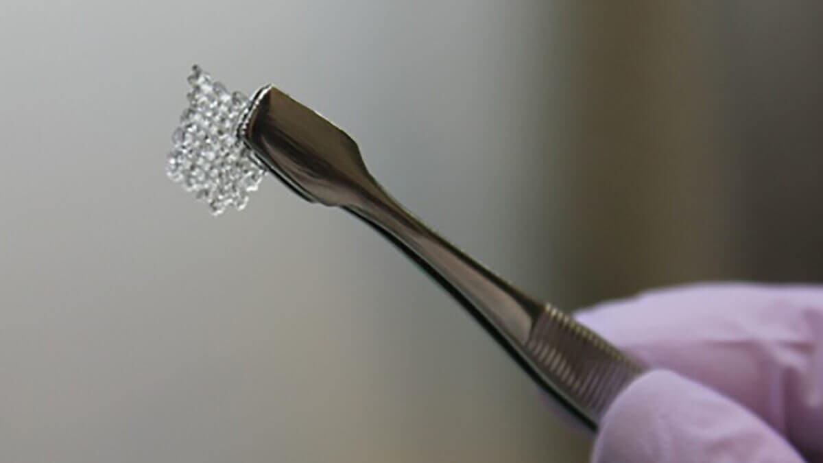 Featured image of Scientists Made Mouse Babies with 3D Printed Ovaries