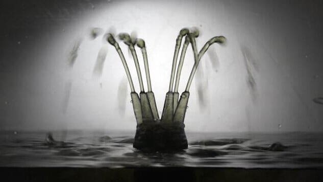 Featured image of Scientists Print Fragile Silicone Structures in a Vat of Goop