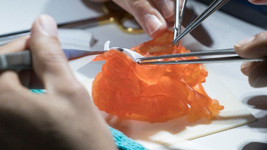 Featured image of Stratasys Launches Anatomy Modeling Platform BioMimics