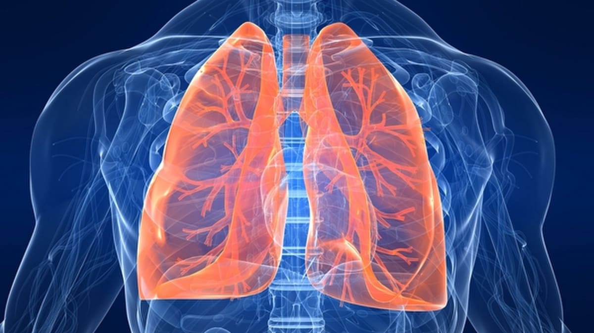 Featured image of 3D Printed Super-Soft Structures that Replicate Brain and Lungs