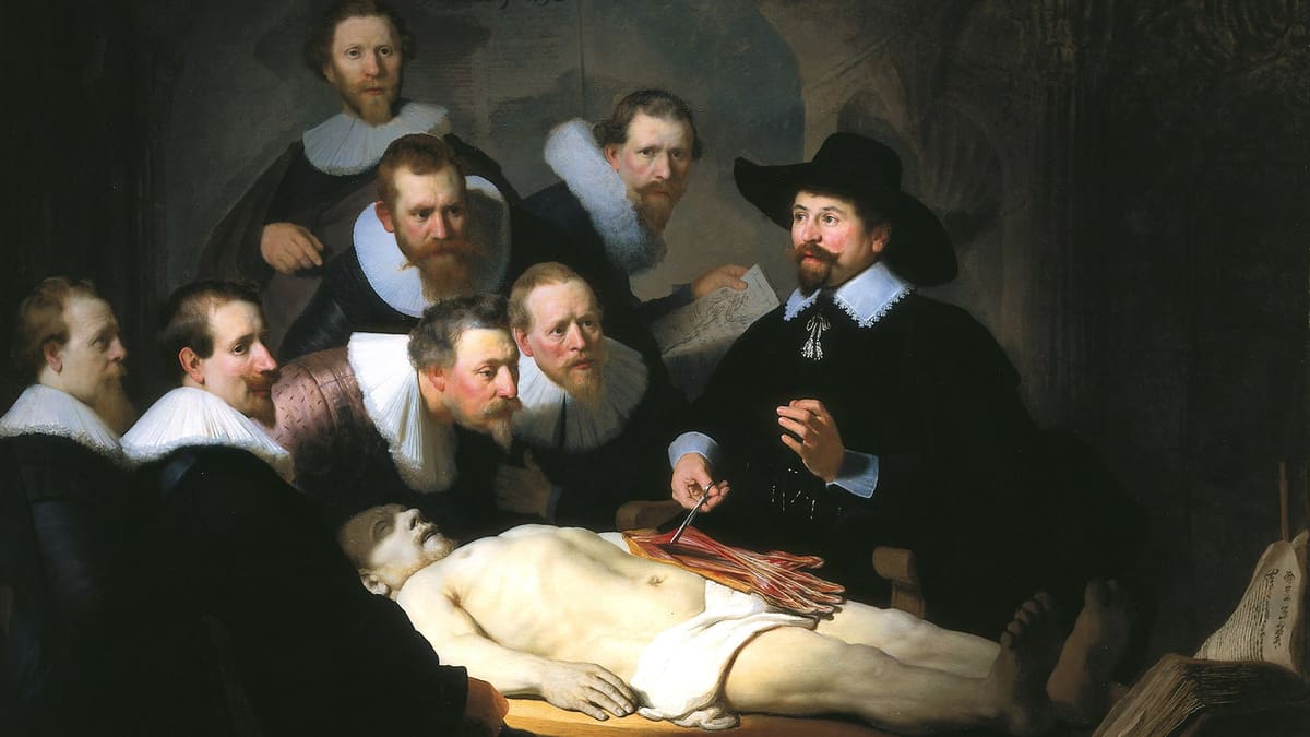 Featured image of Materialise Receives FDA Clearance for 3D Printed Anatomical Models
