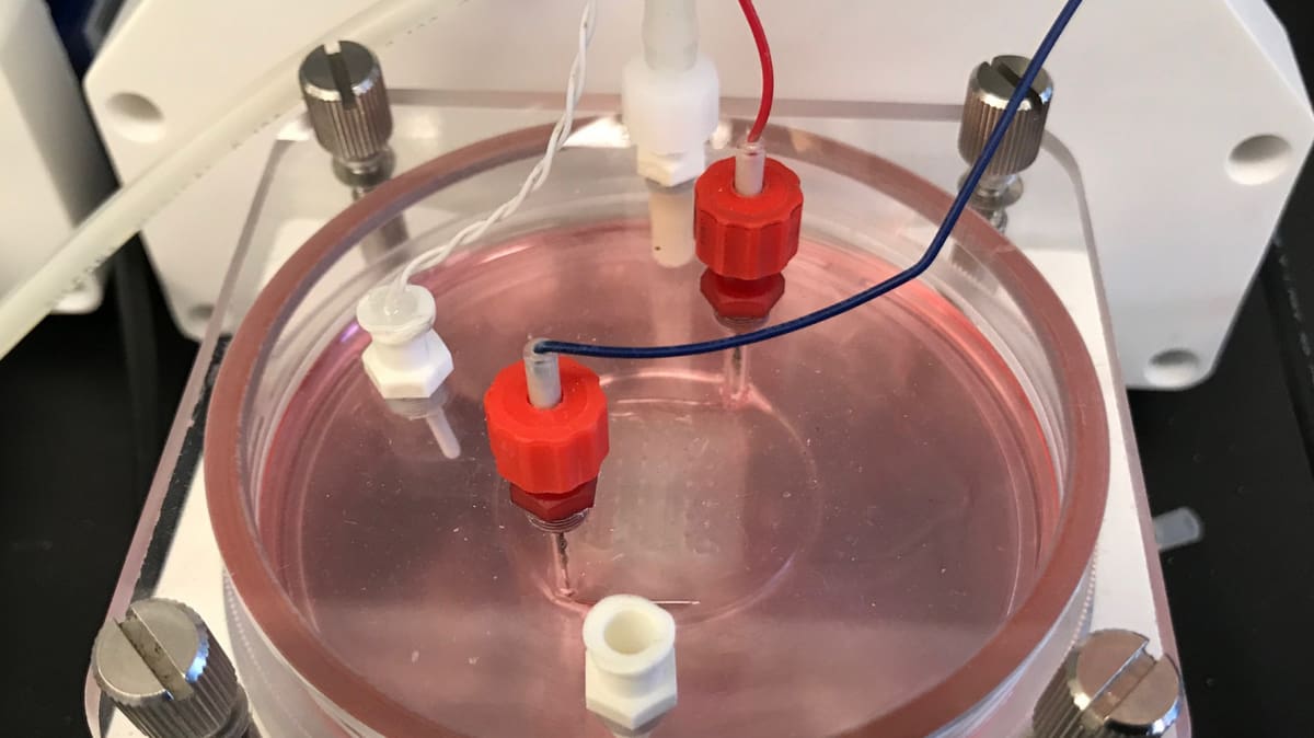 Featured image of BioLife4D Successfully 3D Prints Human Cardiac Patch