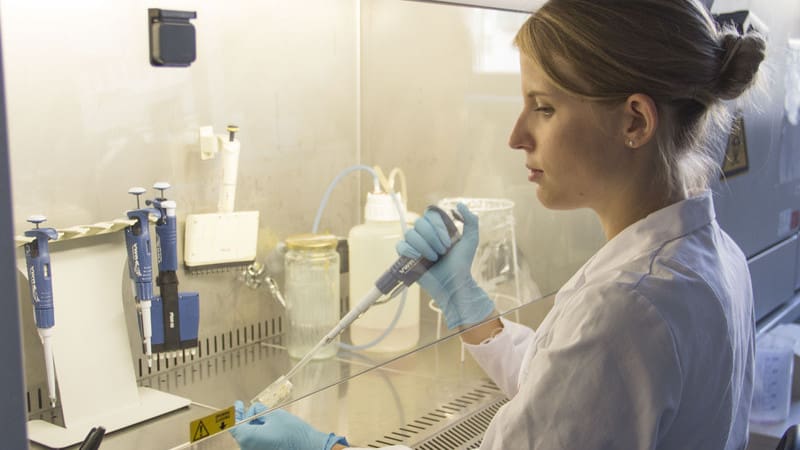 Featured image of TU Wien Researchers 3D Print Artificial Placental Barrier on a Chip