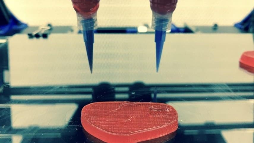 Featured image of Nova Meat 3D Prints Vegetable Proteins to Create Textured Synthetic Meat