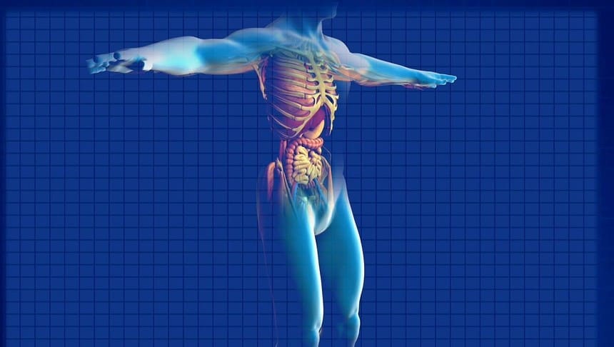 Featured image of World First 3D Printed Bionic Pancreas Could One Day Treat Diabetes