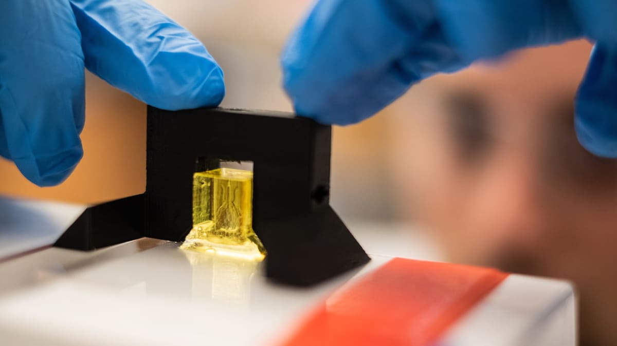 Featured image of Researchers 3D Print Tissues with Entangled Vascular Networks