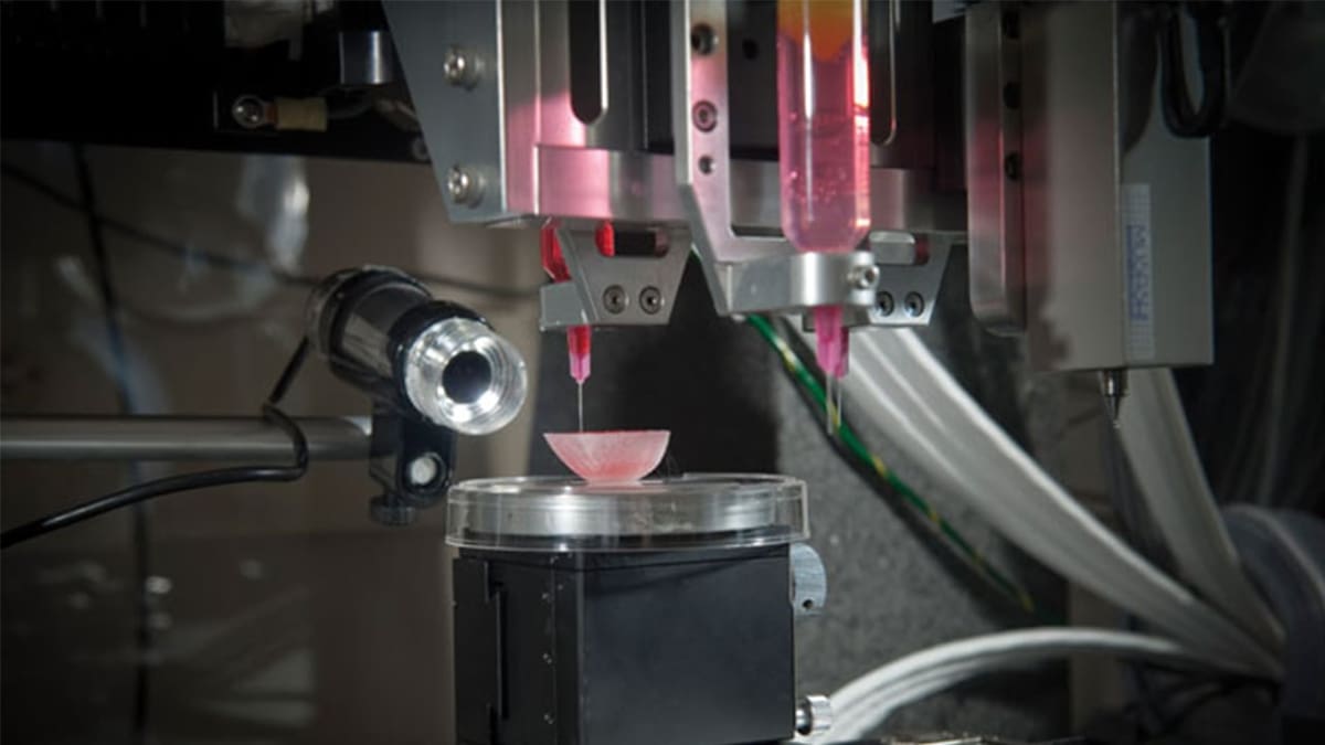 Featured image of 3D Printed Kidney: The Latest Advancements