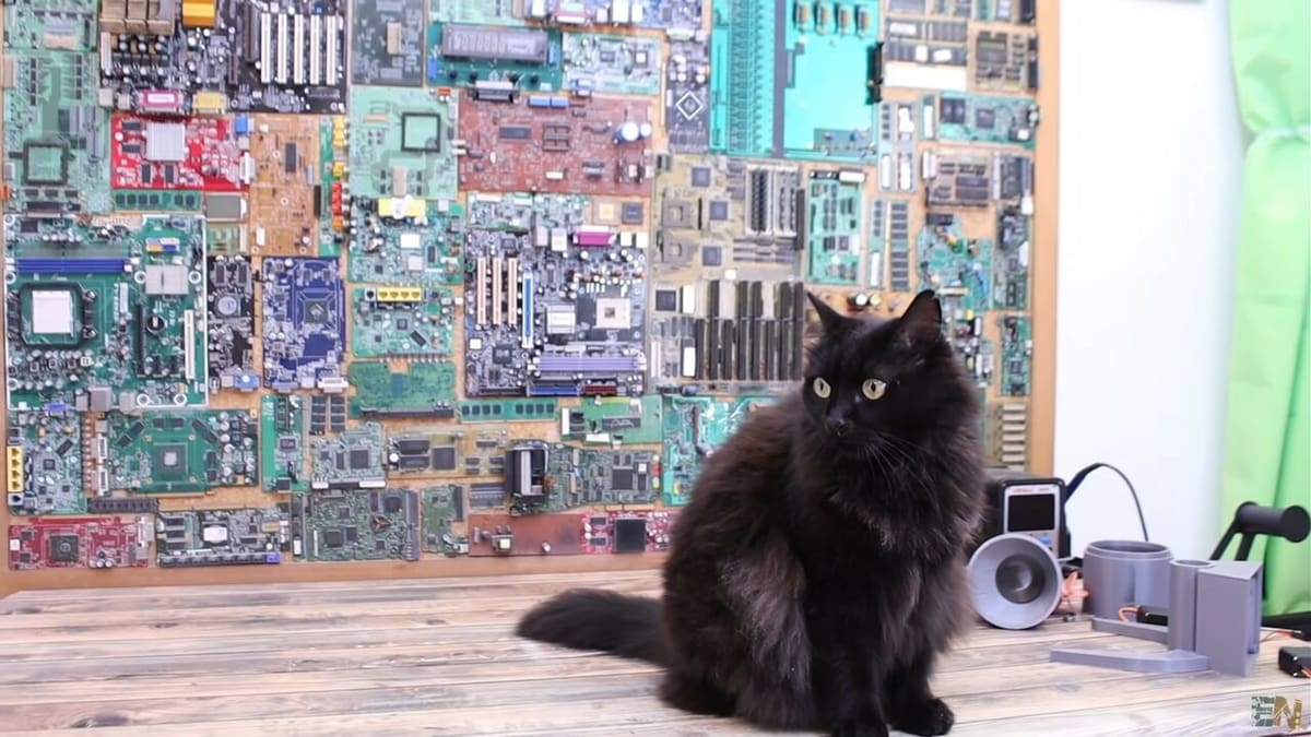 Featured image of Arduino Pet Feeder: Amazing Projects for Cats & Dogs