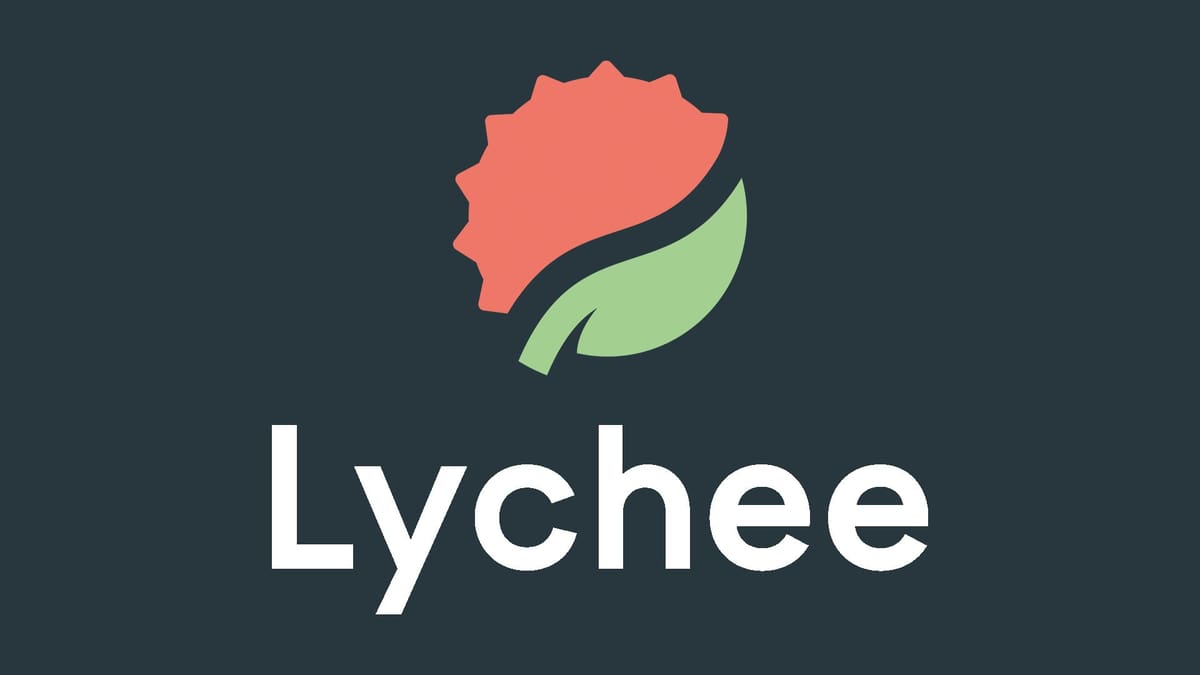 Featured image of Lychee Slicer 6.2 Update, Mango 3D Rebrand & Upcoming ‘Lychee Library’ Repository